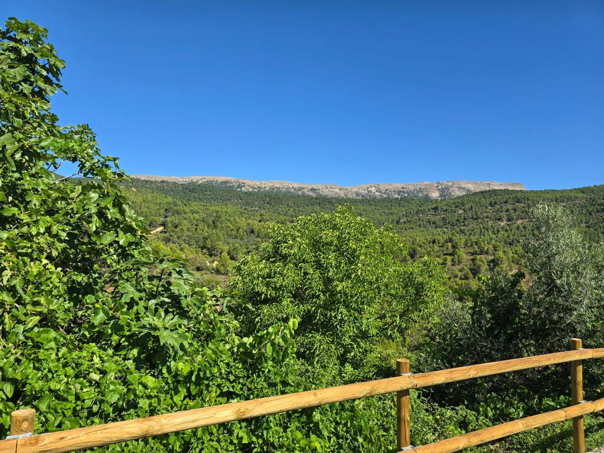 Casas Rurales La Tejeruela Yeste Zewnętrze zdjęcie